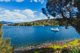 The Bay Waterfront home 10 min to CBD Sleeps 9 - Lindisfarne - 8
