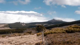 Roulottes - Les lits de berger - 3