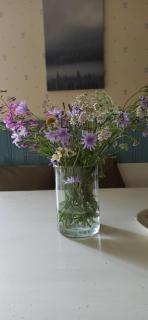 Sunnemoslantliv B&B - 3