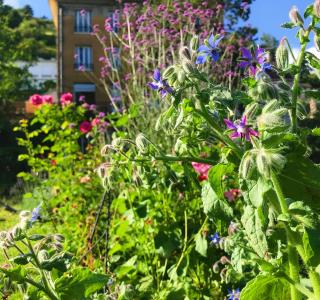Green Home - La Roche-Guyon - 3