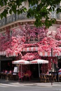Charming apartment In Le Marais - Paris - 1