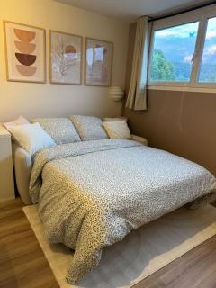 Studio cosy au cœur du Haut-jura - Foncine-le-Bas - 8