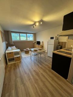 Studio cosy au cœur du Haut-jura - Foncine-le-Bas - 3
