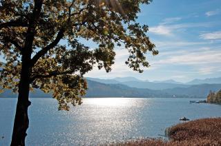 Appartements Bürger - Krumpendorf am Wörthersee - 6