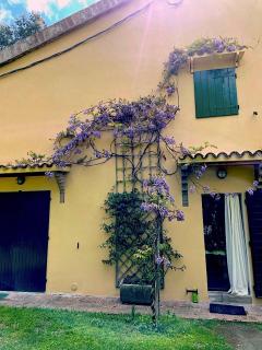 Casale del monte, Pesaro - Pesaro - 5