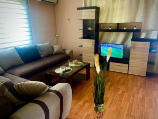 Apartman kuća Rajkovic - Požarevac - 8