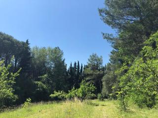 Casale del monte, Pesaro - Pesaro - 6