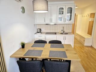 Apartmaji PANONIA "The Modern Space" - Moravske Toplice - 1