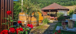 Poiana Cristian - Poiana Brasov - 8