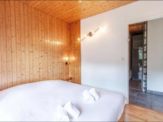 Charmant T2 rénové avec jardin, parking privé et accès direct aux pistes, proche du centre de Morzine - FR-1-679-12 - Morzine - 1