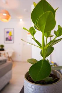 Stilvolles Apartment im lässigsten Viertel - 1