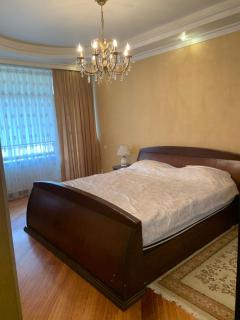 Central Deluxe Apartments Baku - Baku - 6