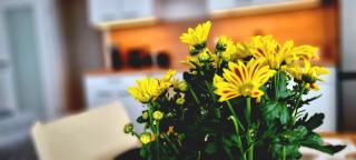 Apartment Hannover - Langenhagen center - 9