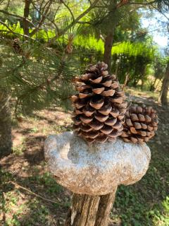 Casale Trifoglio - 1