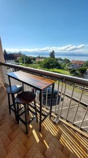 Appart cosy avec vue sur le Lac Léman - Évian-les-Bains - 7