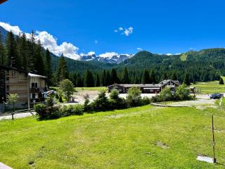 Bilocale Rio Falzè - Serafini - Madonna di Campiglio - 8