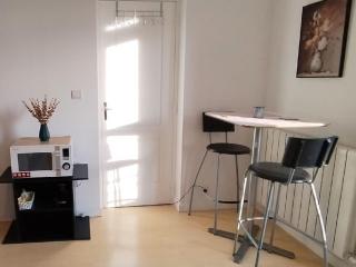 Location chambre spacieuse avec balcon et piscine - Albi - 7