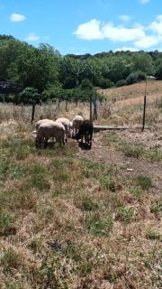 Maison de campagne à Bouisse - 2