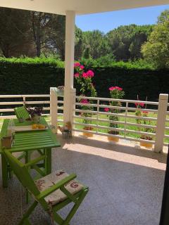 Pines House - Durazzo - 0