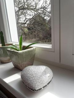 Gäste- und Monteurwohnung alte Gärtnerei - 5