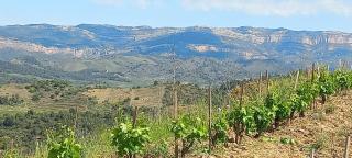 La Caseta del Piro - 5