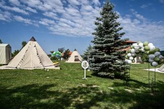 Smart glamp - Bukovik - 1