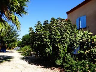 Résidence L'Orangeraie-2-Claira 66530 - 5