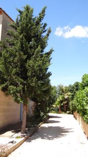 Résidence L'Orangeraie-2-Claira 66530 - 2