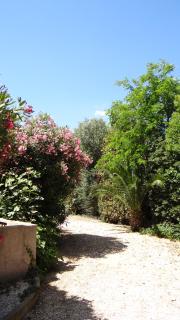 Résidence L'Orangeraie-2-Claira 66530 - 4