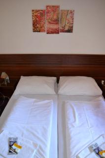 Pension u Faustů - Blansko - 4