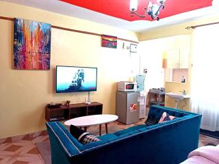 Stylish Studio Thika Road - Nairobi - 5