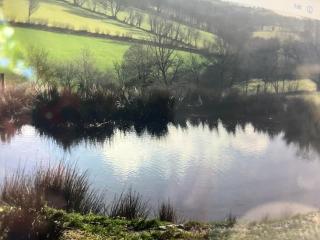 Fronfetyn - Aberystwyth - 5