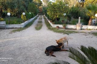 Villa Maila - Accogliente Villetta con Giardino Privato in Salento - Latiano - 8