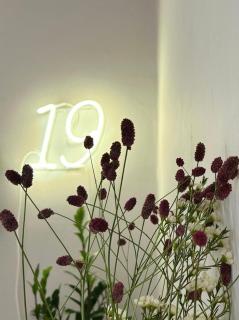 Domus 19 - 9
