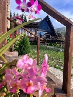 Cacha's Wood Cabins - Constanza - 9