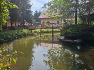 Przy potoku 882-688-032 - Średnia Wieś - 8