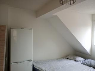 Rex gaf - 0