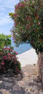 Beachfront Apartments Baricevic with Pool - Cesarica - 2