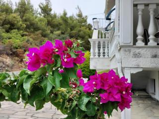 Althea Three - Sithonia Chalkidiki 250m from the beach - Akti Salonikiou - 0