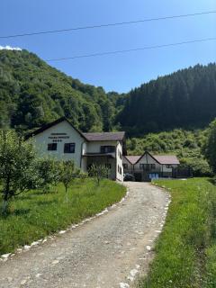 Pensiunea Valea Pinului - 1