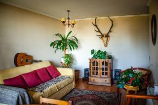 Departamento Andalué - San Pedro de la Paz - 5