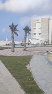 سبورتلاج Srtilag - 4