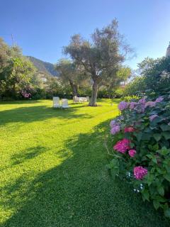 Villa Olivia - Chrisi Ammoudia - 6