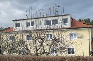 Stadtmitte mit Schlossblick - 6