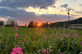 Kenton Mill Farm - Kenton - 3