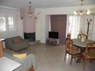 Hirondelles - 4