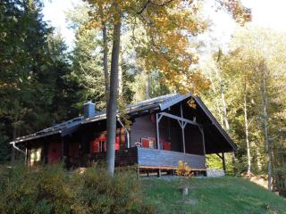 Blockhaus mit Terrasse und Grill am Bodewasserfall - Braunlage - 1
