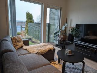 Green appartement - 3