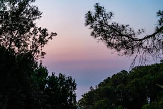 Hotel Bisanzio Resort - Rossano - 8