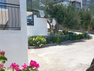 Apartment Neve 87 - Veliko Brdo - 7